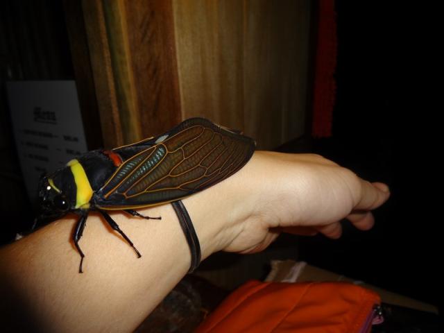 DSC04574.JPG