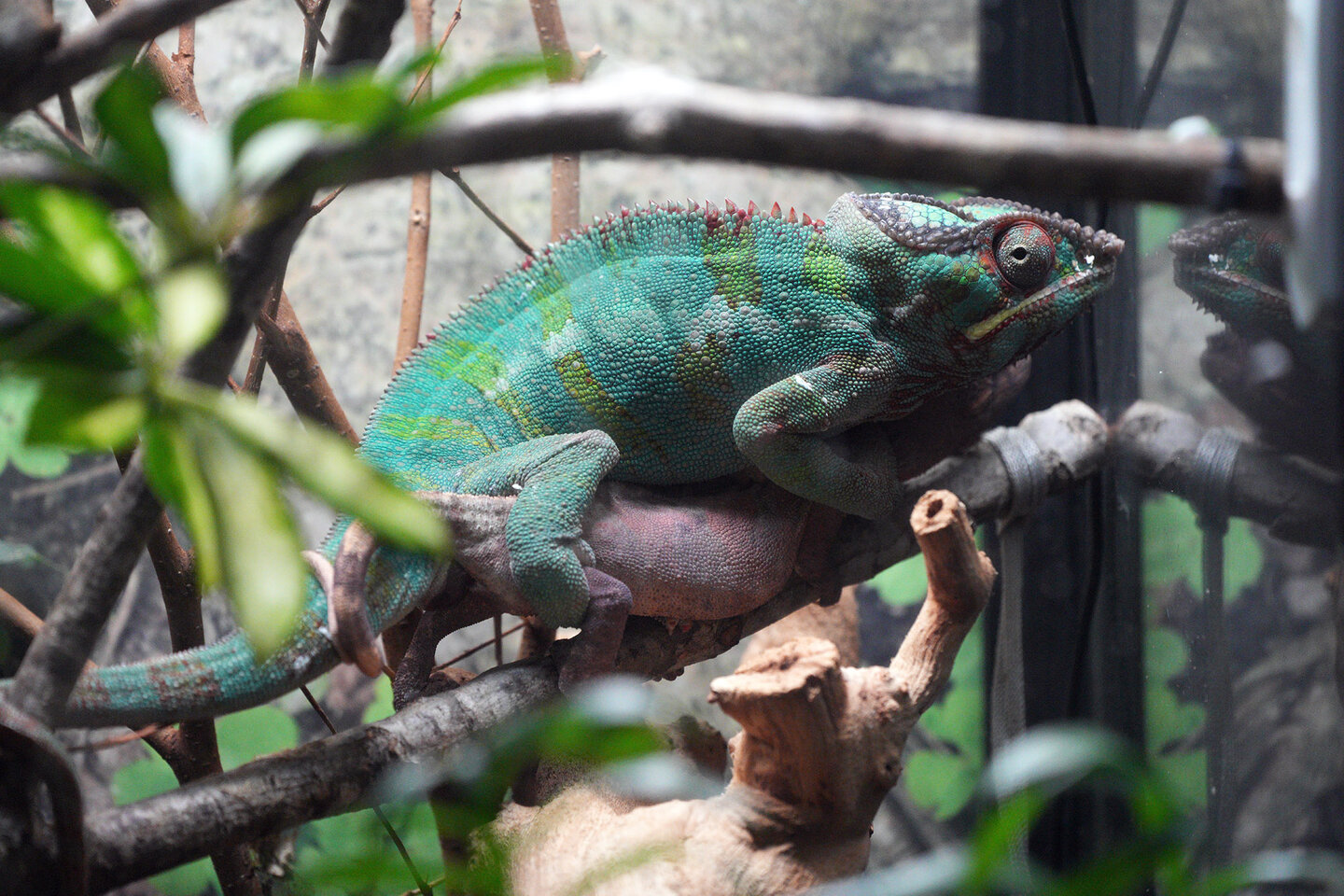 DSC04890s.jpg