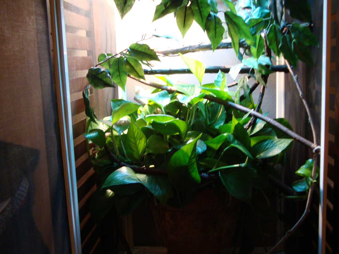 DSC05877.JPG