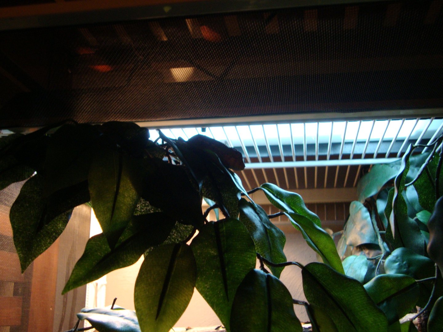 DSC05878.JPG