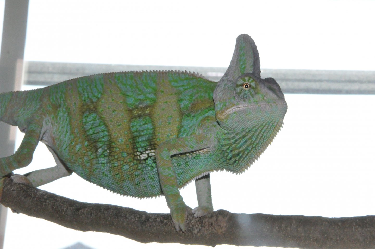DSC_0019.JPG