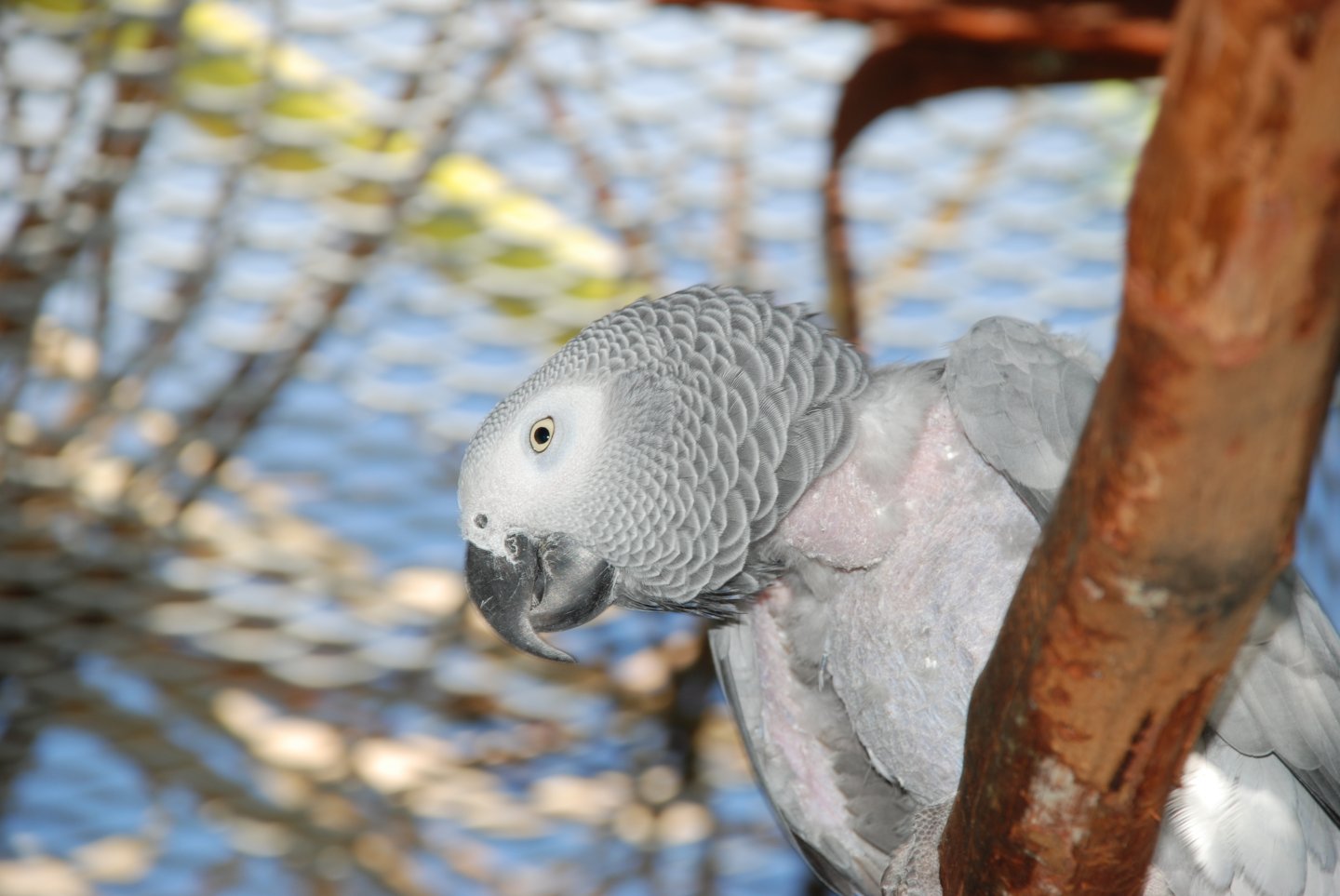 dsc_0037.jpg
