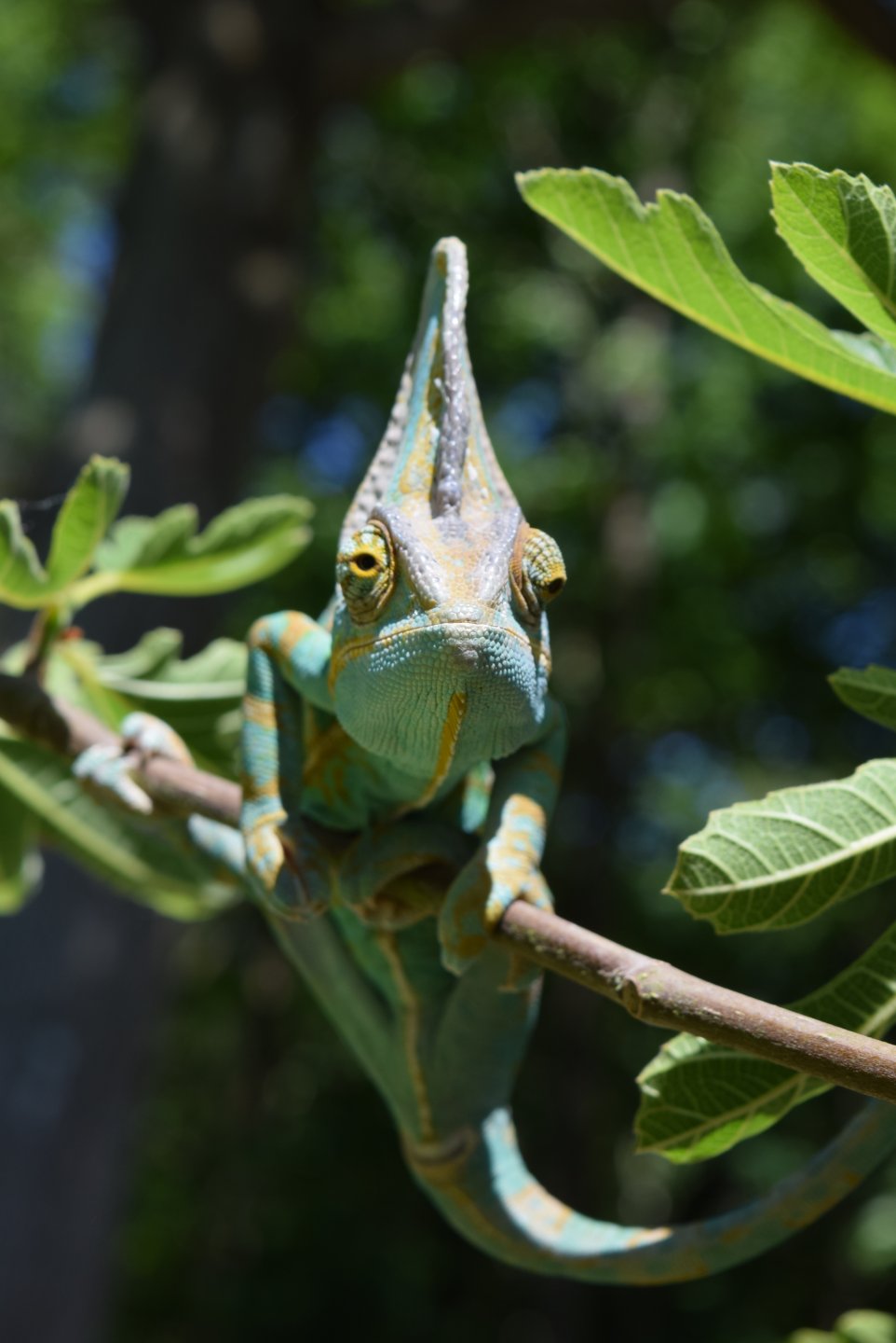 DSC_0051.JPG
