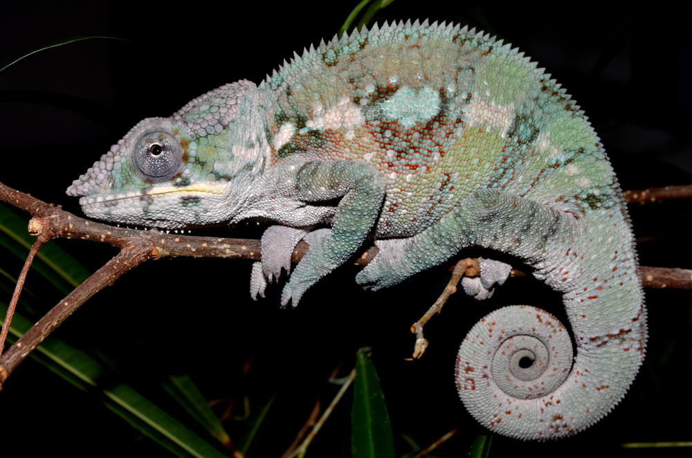 DSC_0474_00001.jpg