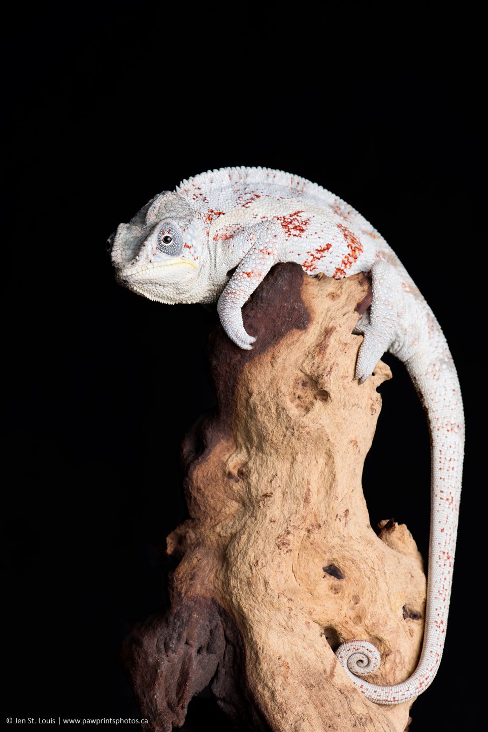 DSC_0662_small.jpg