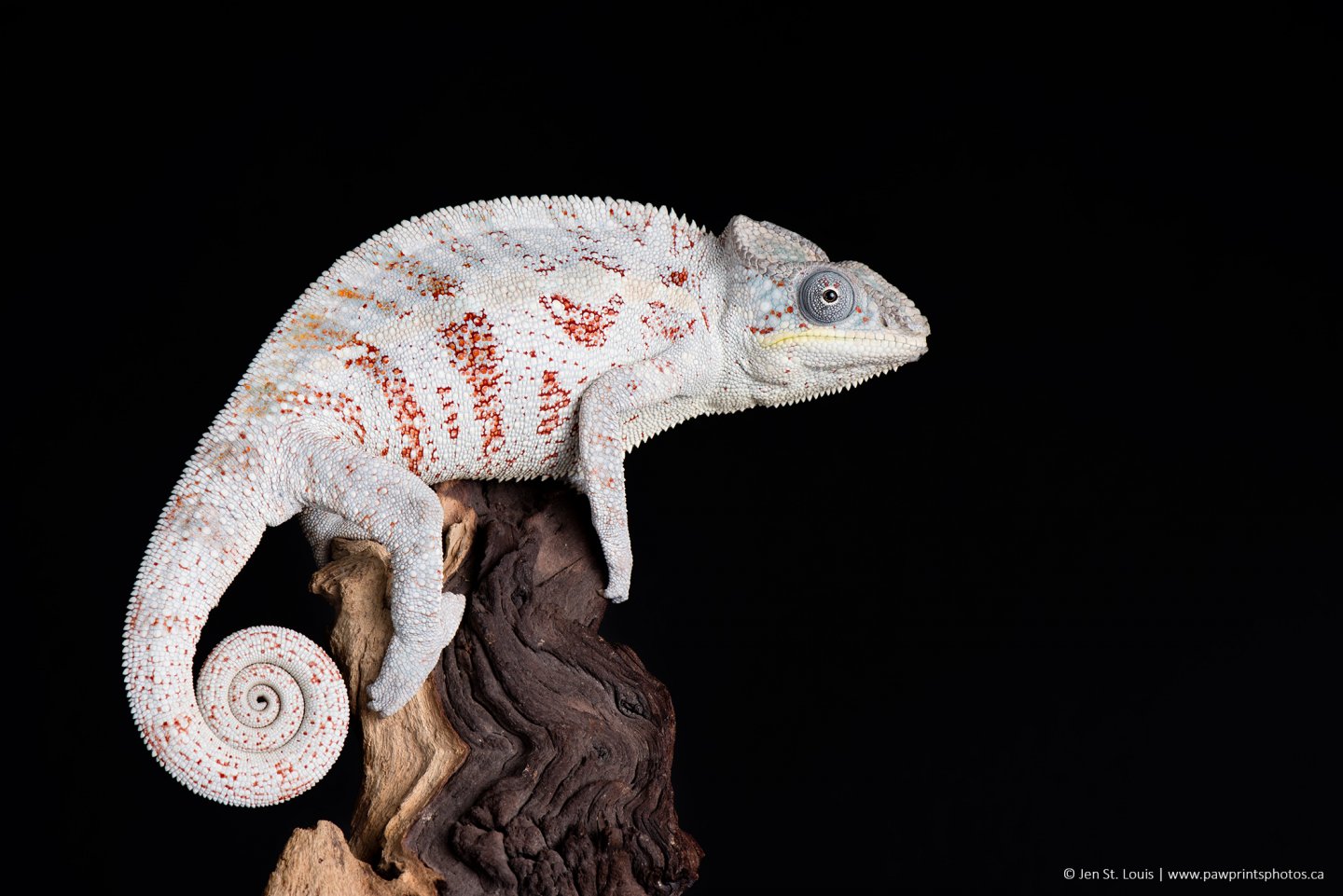 DSC_0669_small.jpg