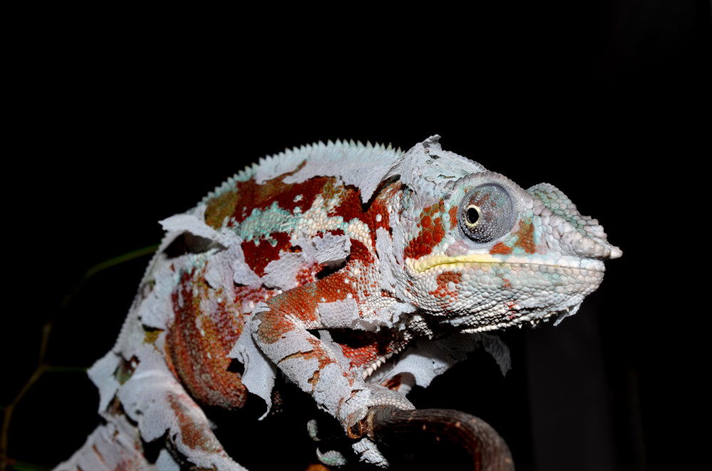 DSC_0773_00001.jpg