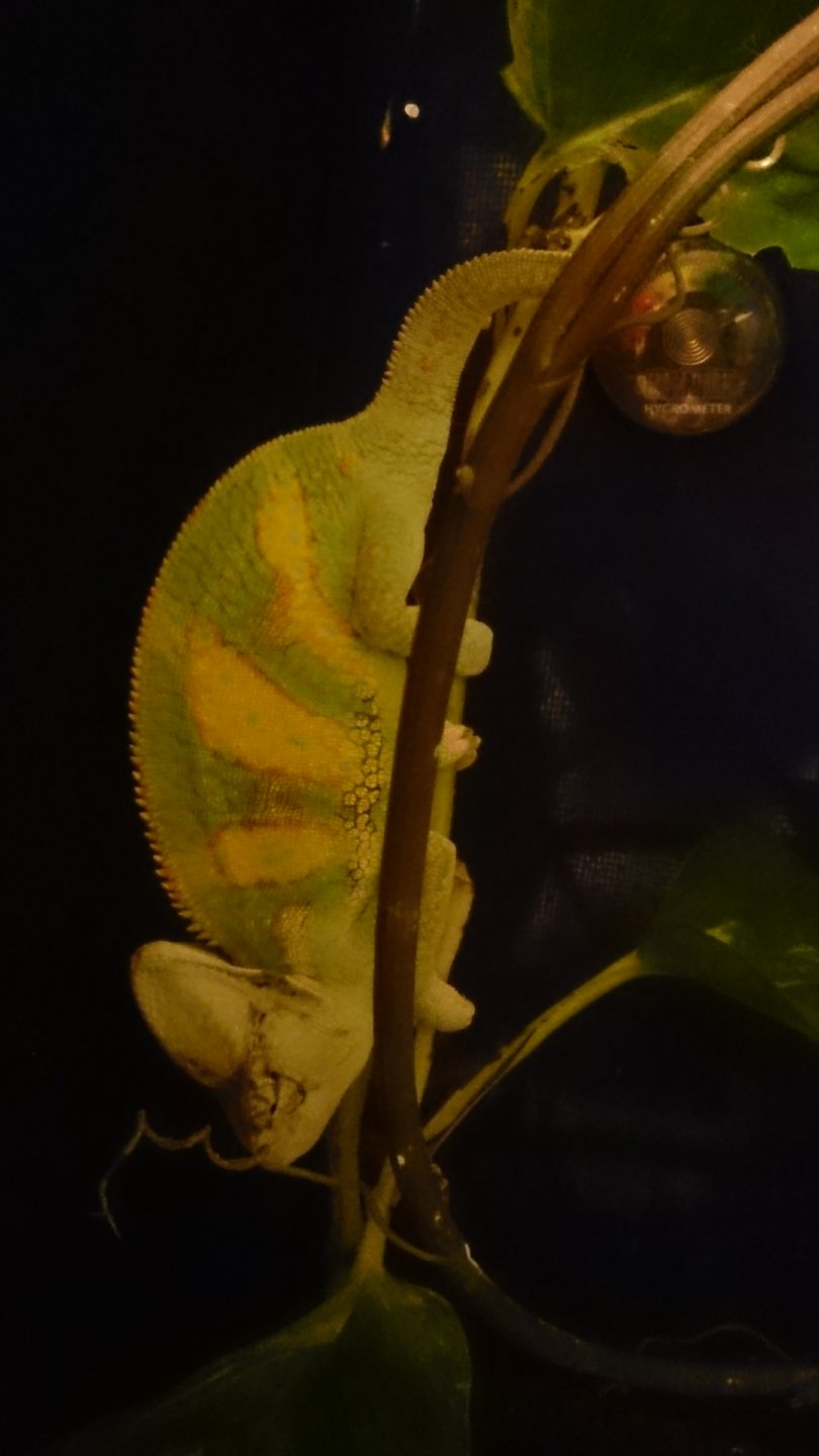DSC_0924.JPG