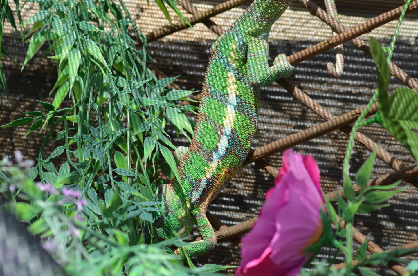 DSC_1028.JPG