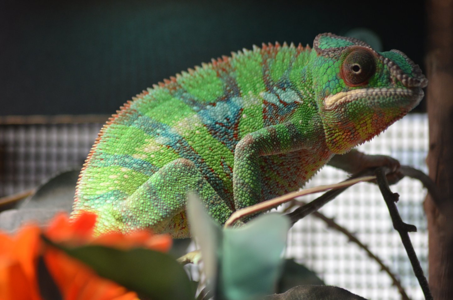 DSC_1101.JPG