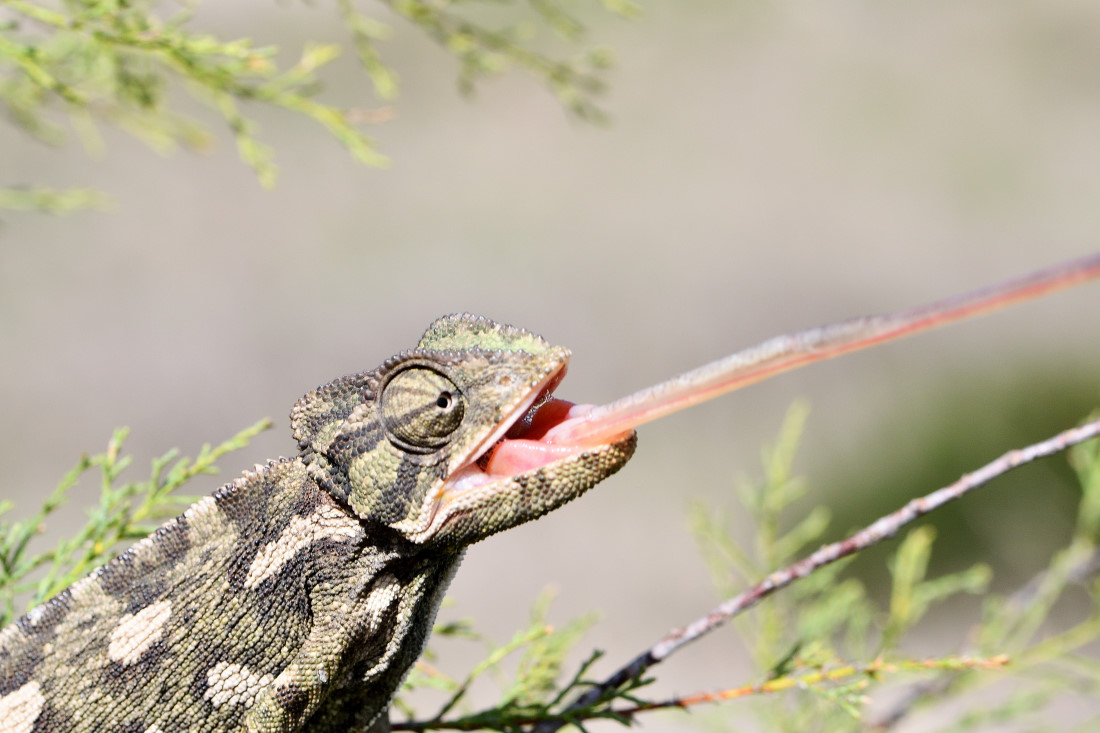 DSC_6216_00001.jpg