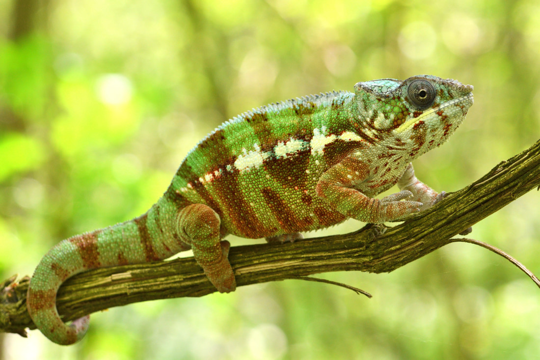 DSC_7735_00001_01.jpg