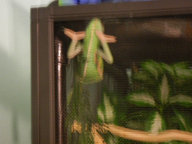 DSCN1053.JPG