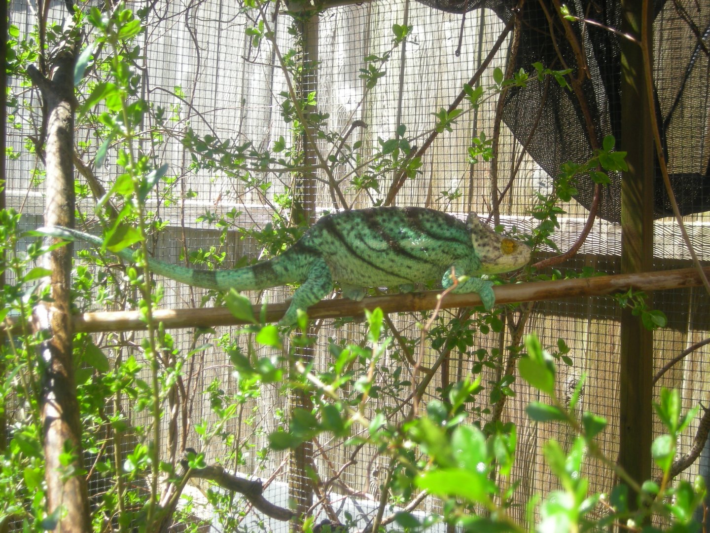 DSCN7083.JPG
