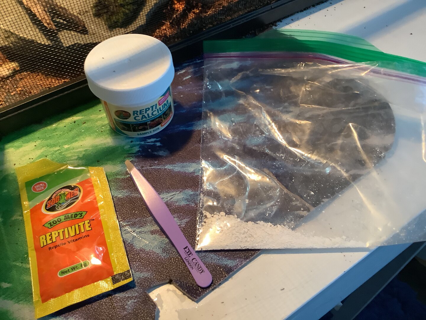 My veiled chameleon is weak and not taking his calcium. | Chameleon Forums