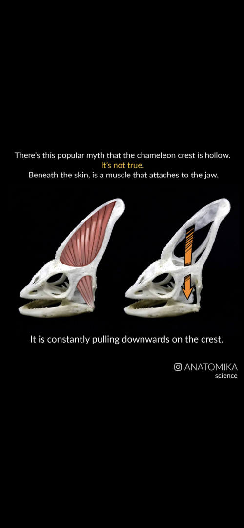 EA0010AD-3493-4C8E-A036-5A479FE80360.png