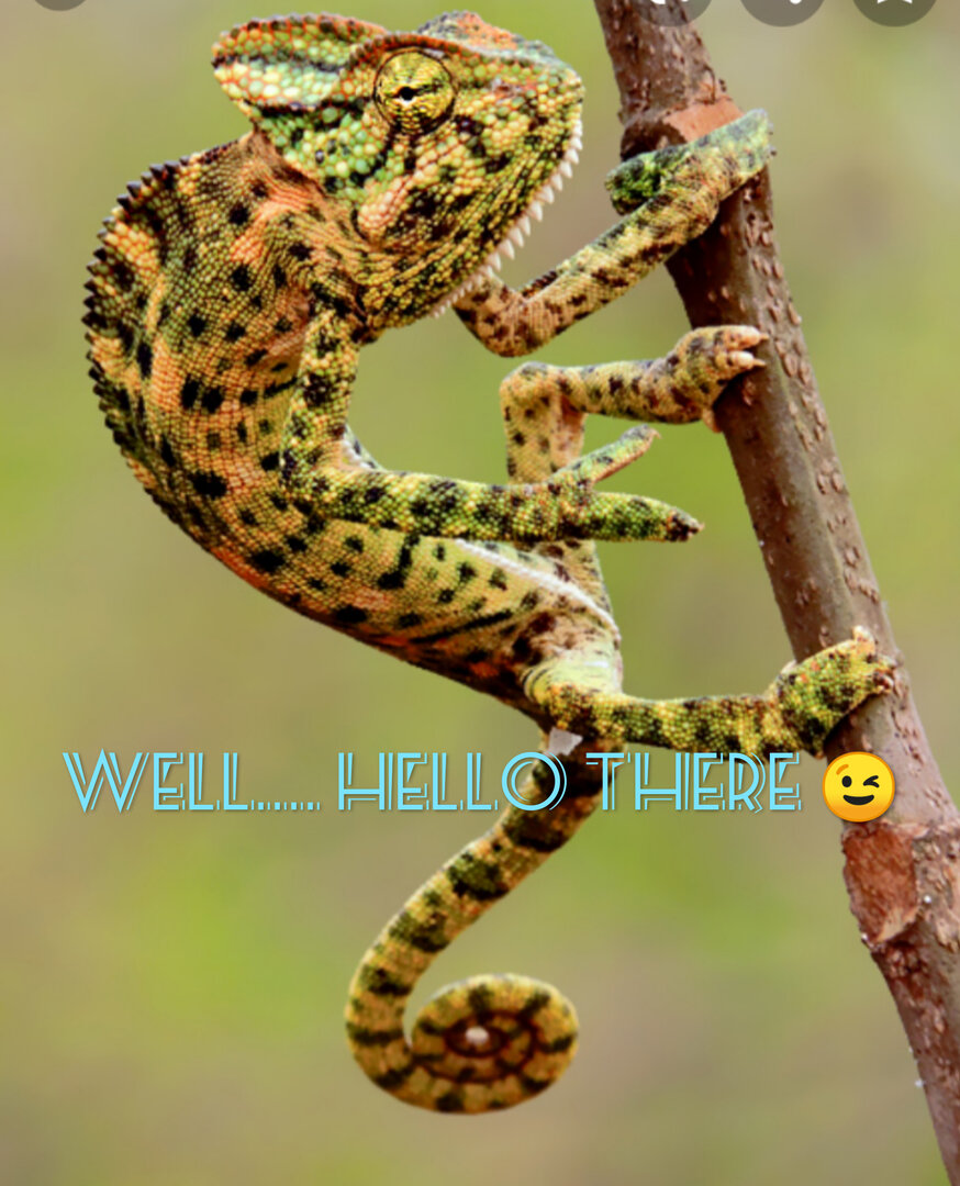 Edited_20210113_175610.jpg