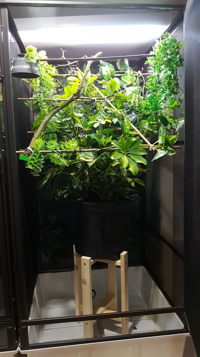 enclosure.jpg