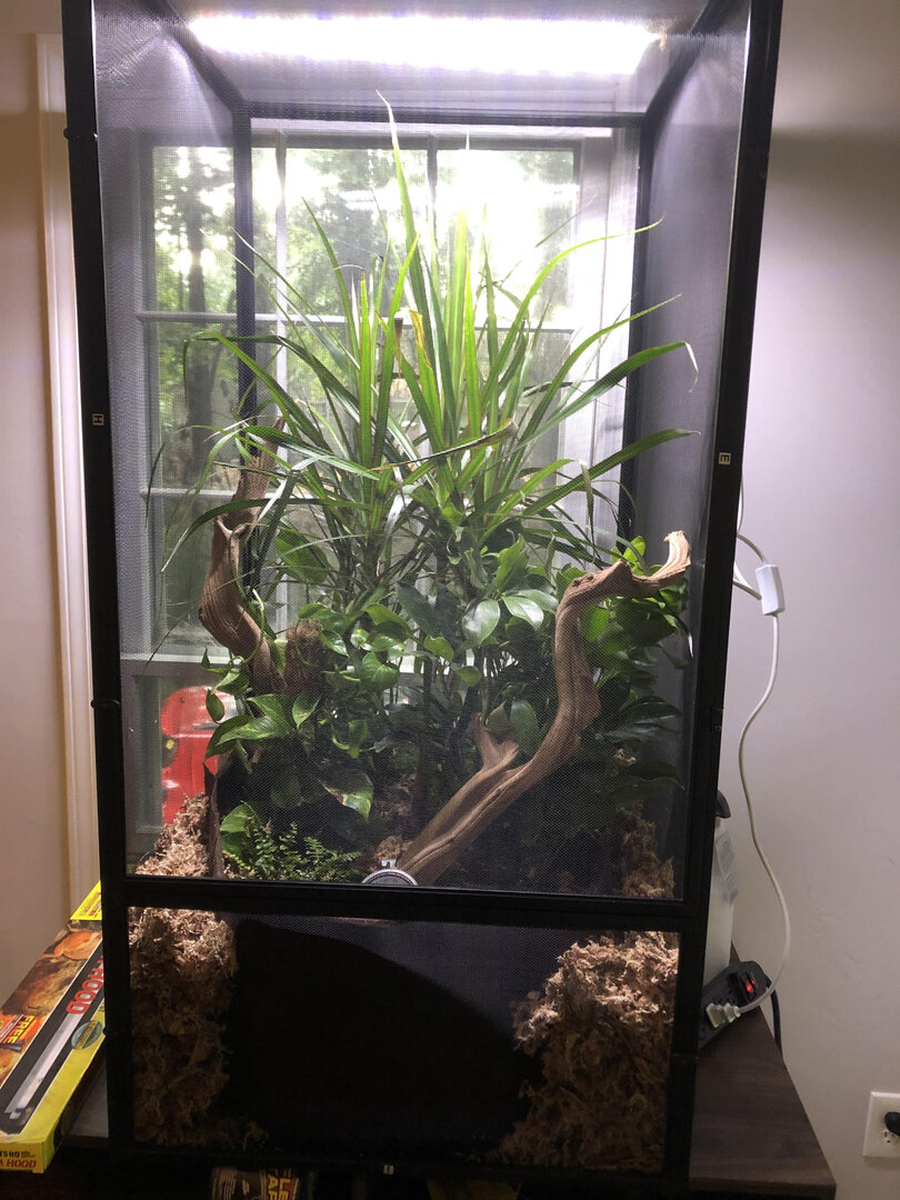 enclosure.jpg