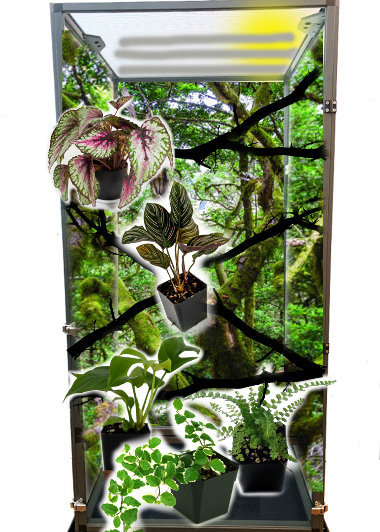 Enclosure mockup v4.png