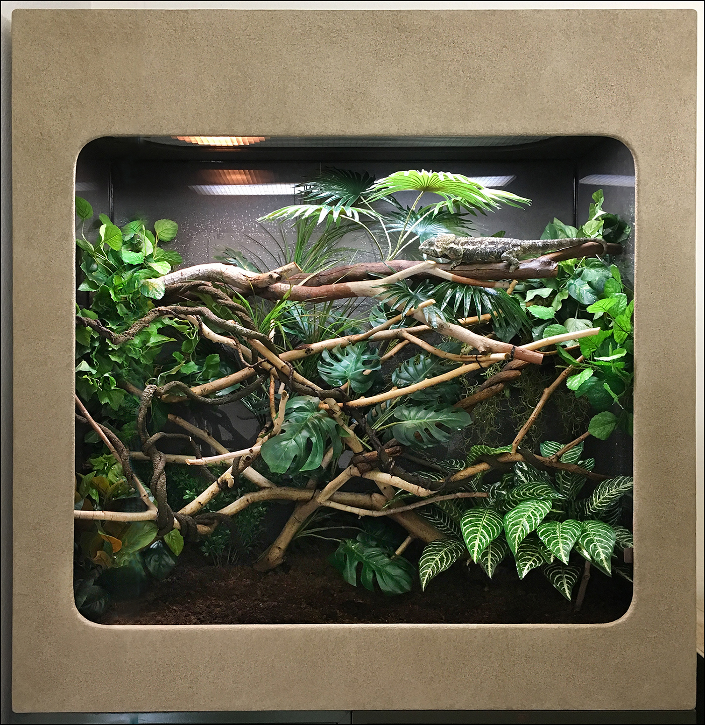 Enclosure reduced.jpg