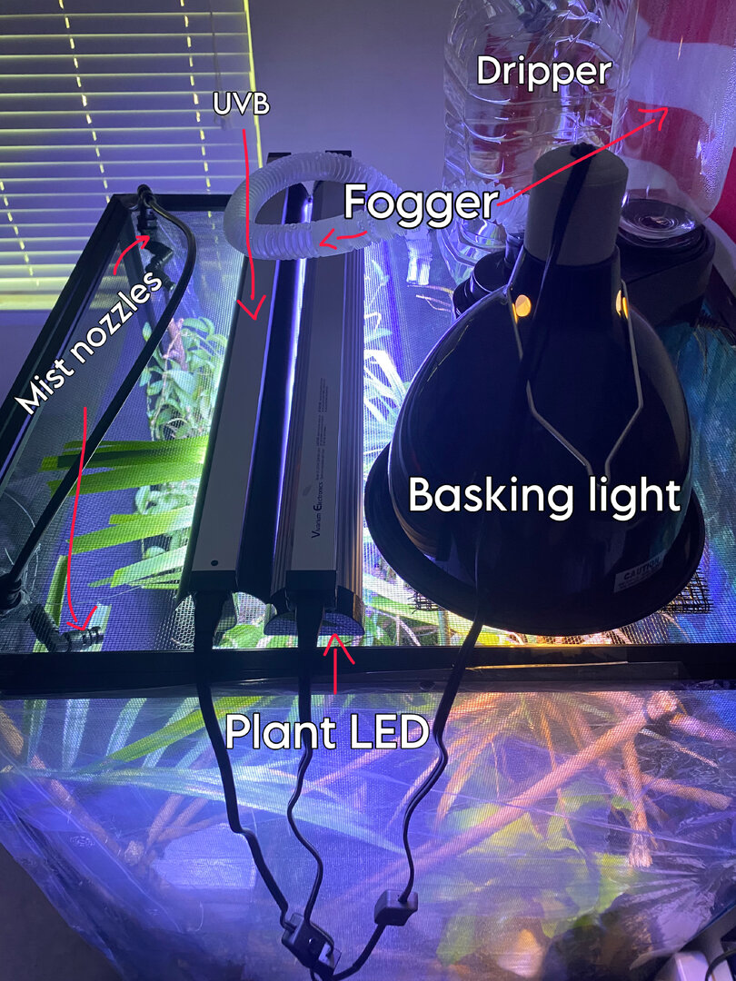 F0E75796-A119-40FA-BDE9-29603595C393.jpeg