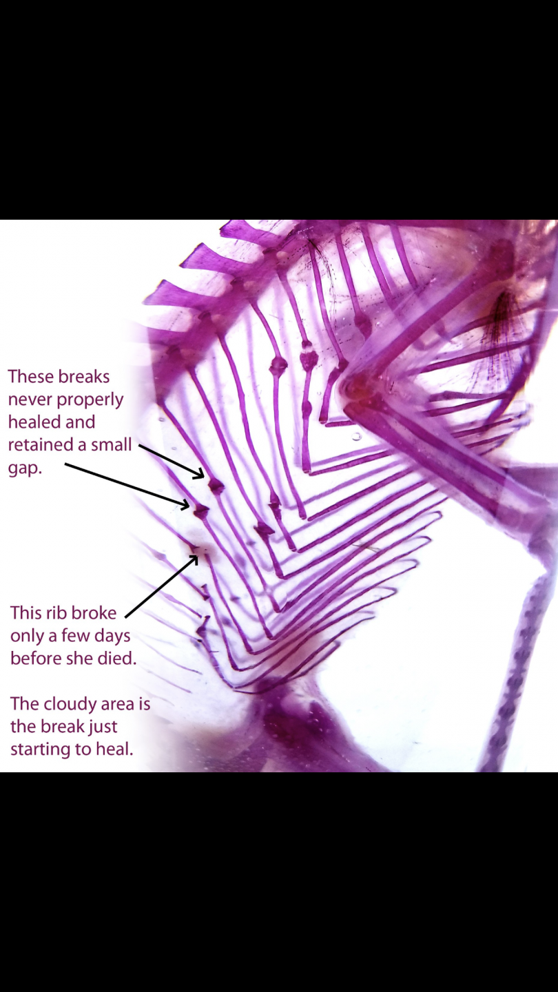 F973C0C5-FF70-4E84-830C-1A7FC696AEA0.png