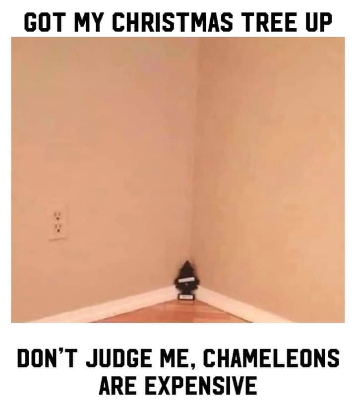 FB_IMG_1606870771052.jpg