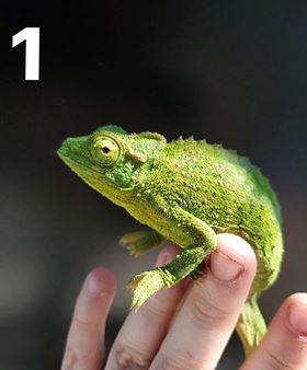 245272
