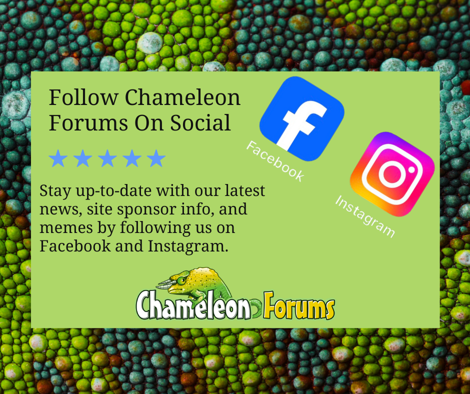 Follow Chameleon Forums On Social.png