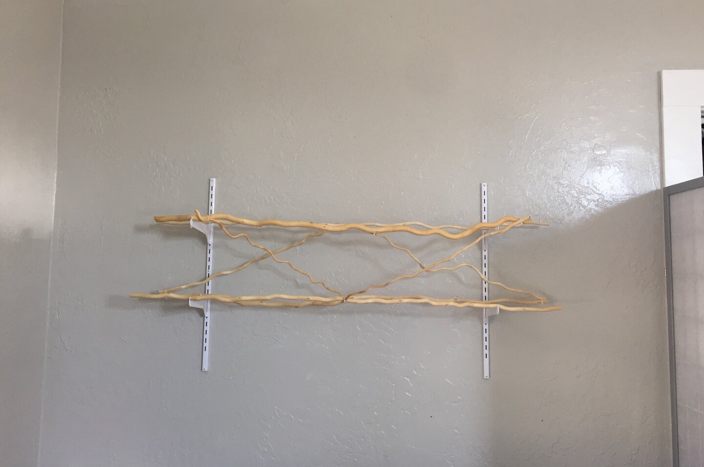 FullSizeR.jpg