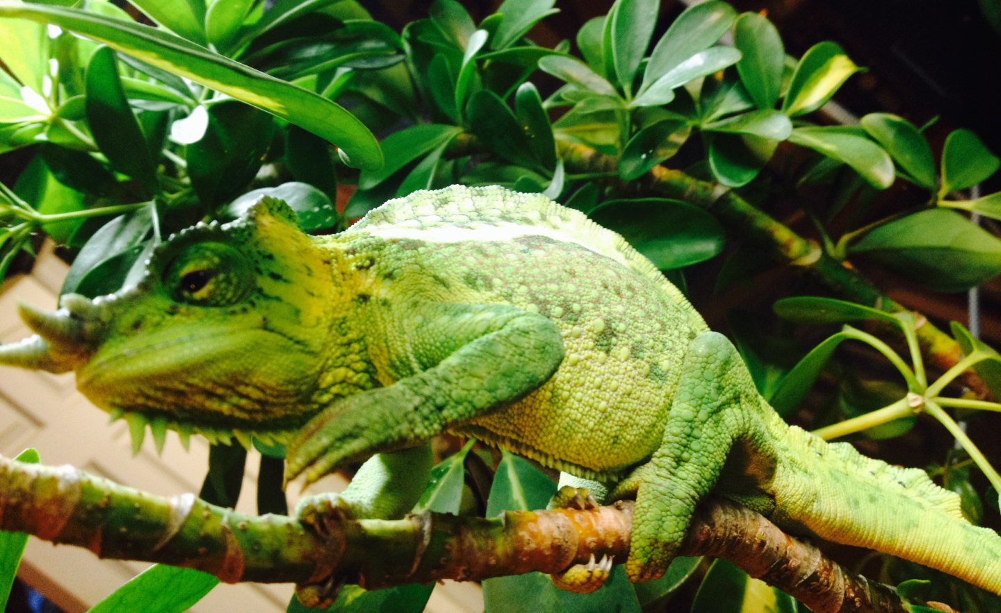 FullSizeRender (8).jpg