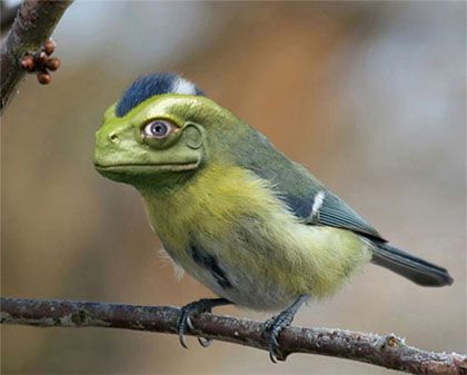 funny_photoshopped_picture_217.jpg.cf.jpg