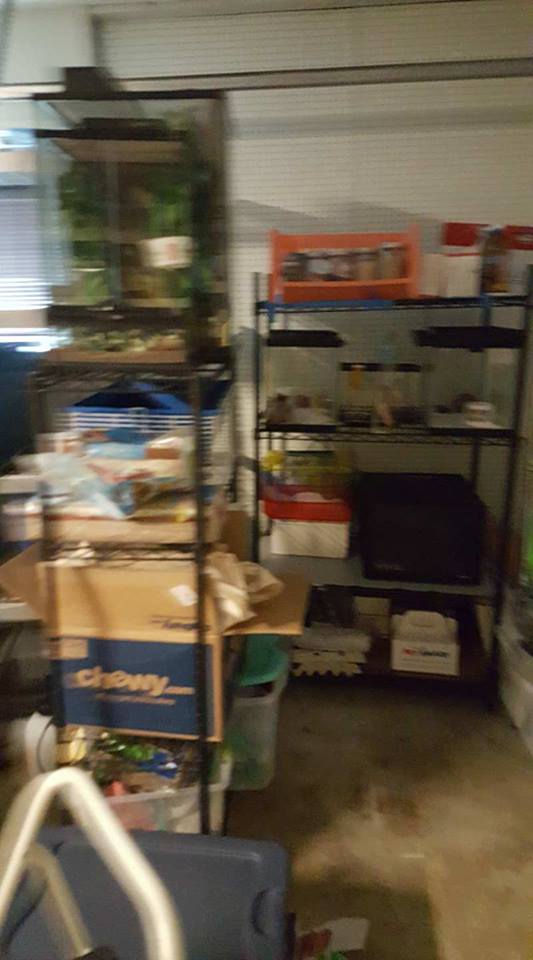 Garage 3.jpg