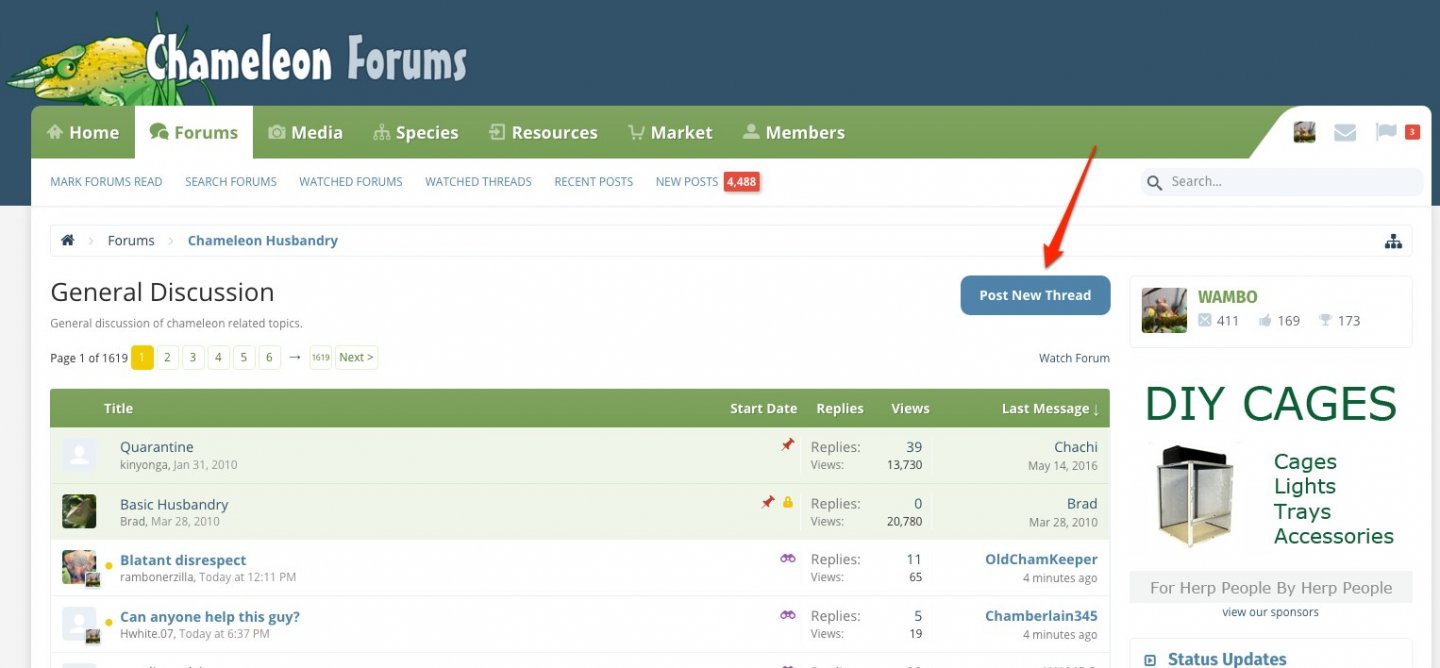 General Discussion | Chameleon Forums-1.jpg