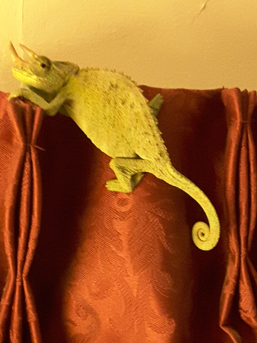 glen curtain.png