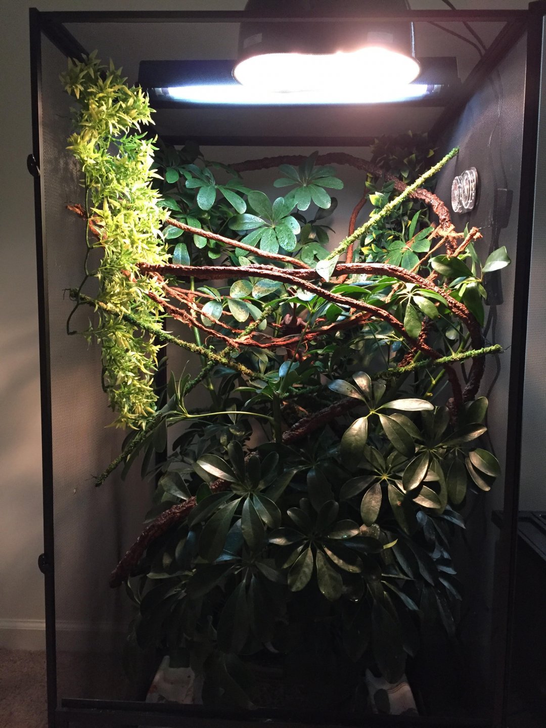 HIs Enclosure.jpg