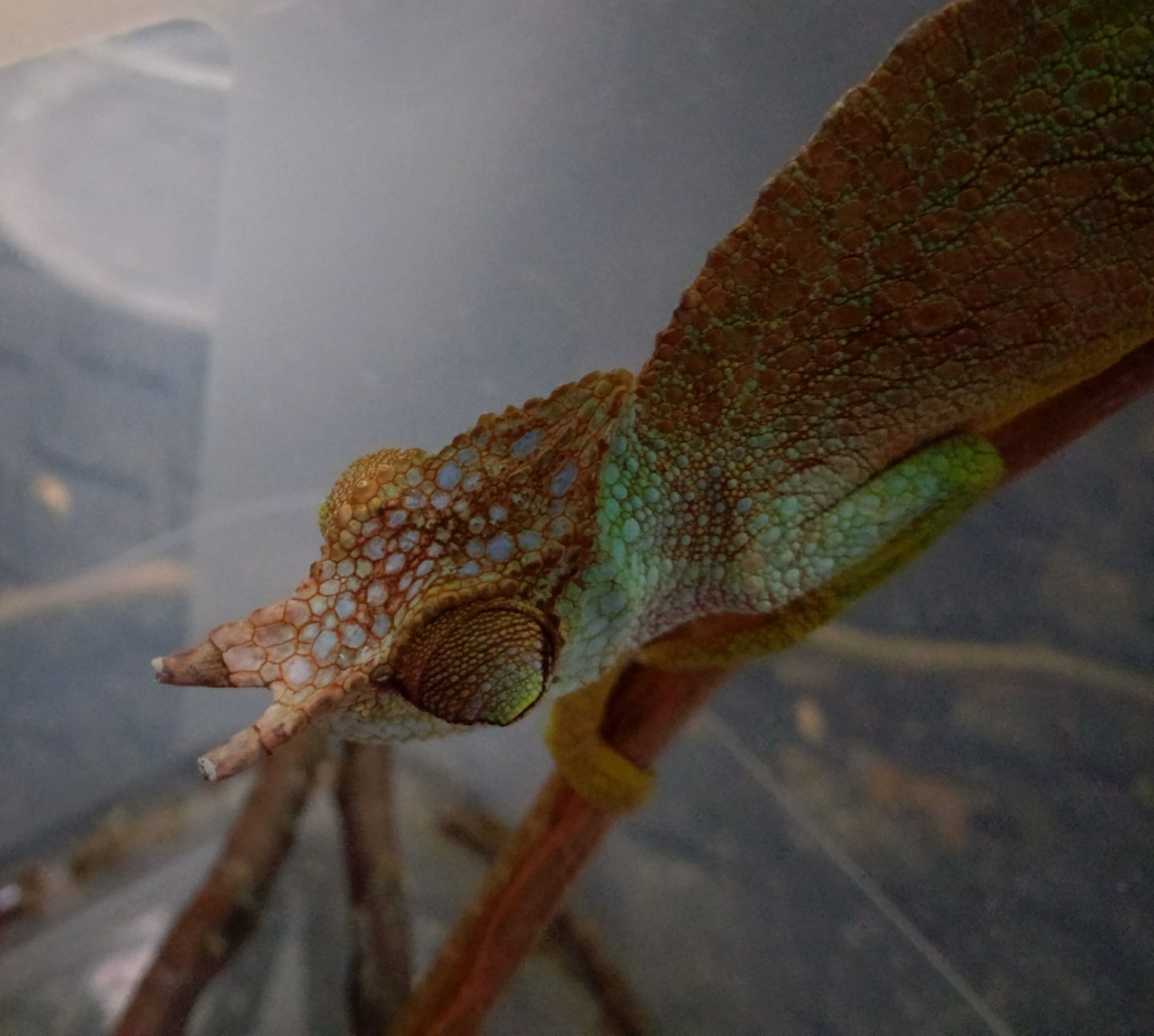 IMAG0055~2.jpg
