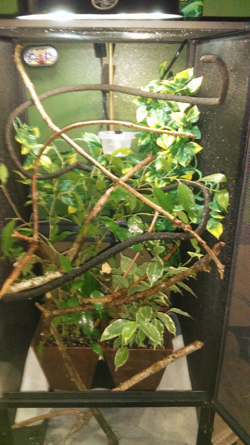 IMAG0100_1.jpg