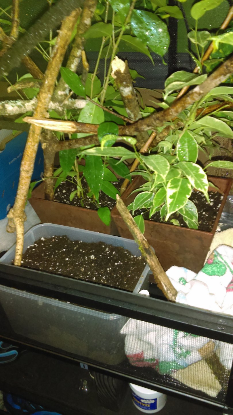 IMAG0103.jpg