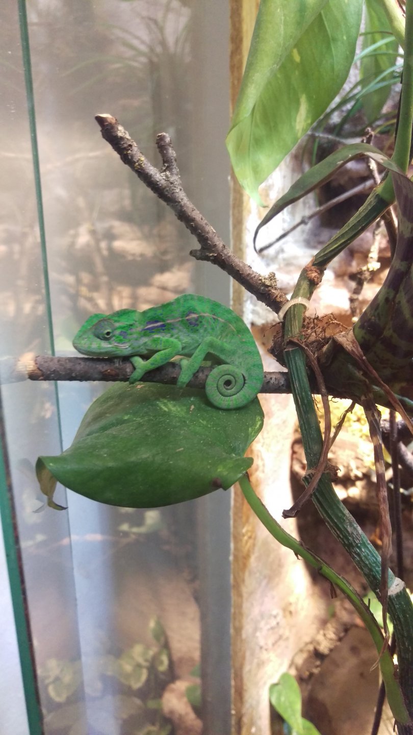 IMAG0239.jpg