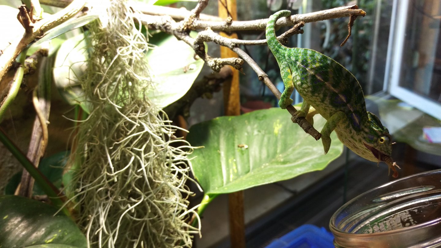 IMAG0244.jpg