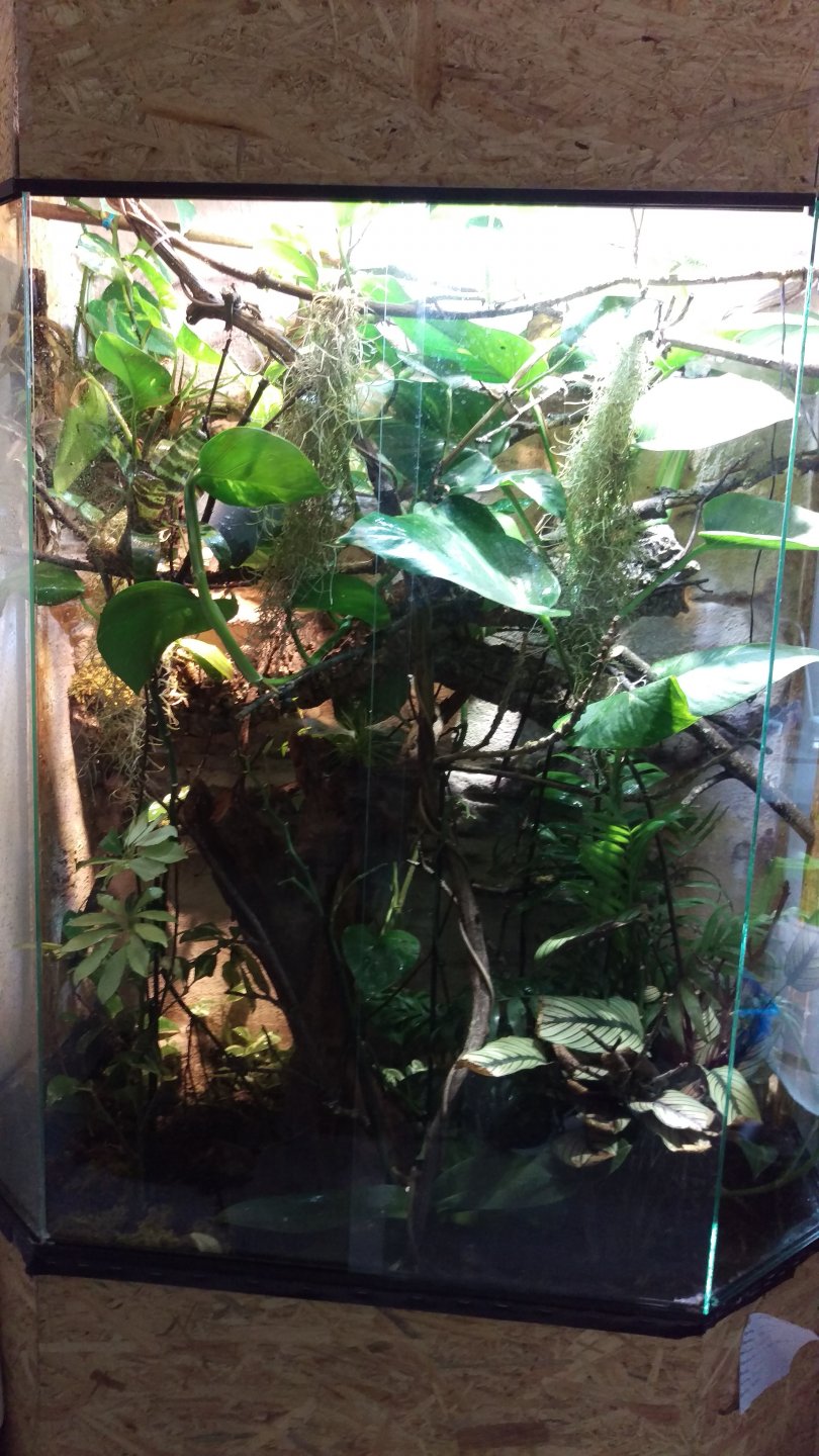 IMAG0266.jpg