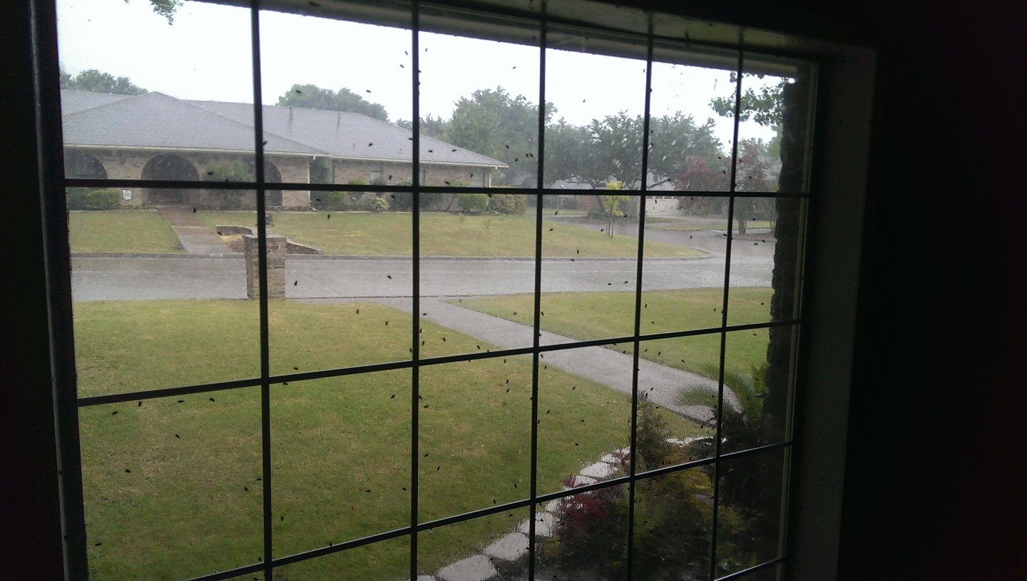 IMAG0437.jpg