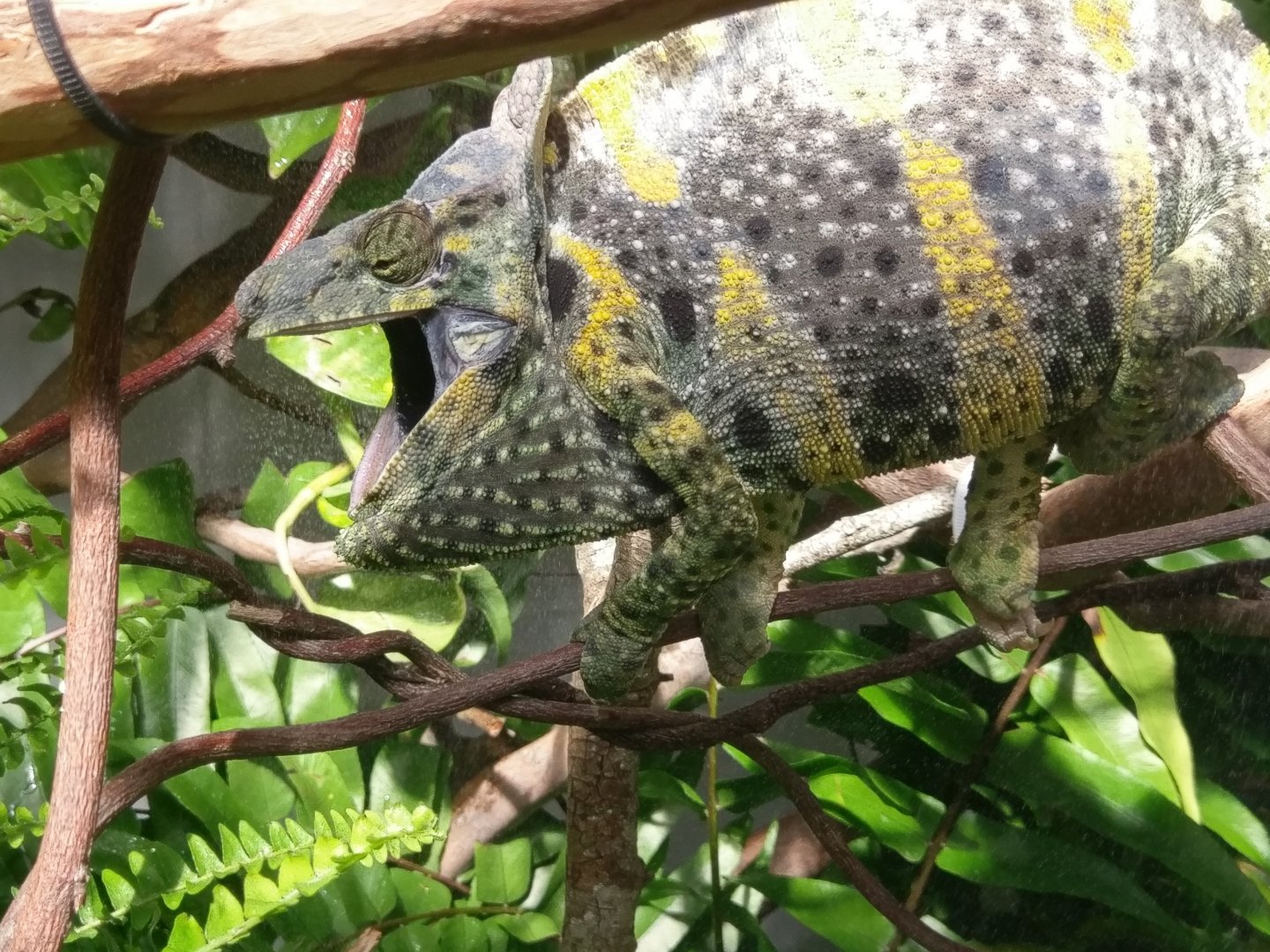 IMAG0488.jpg