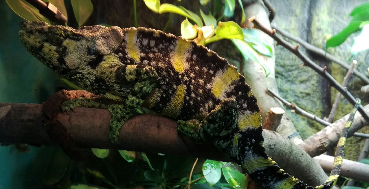IMAG0758_1.jpg