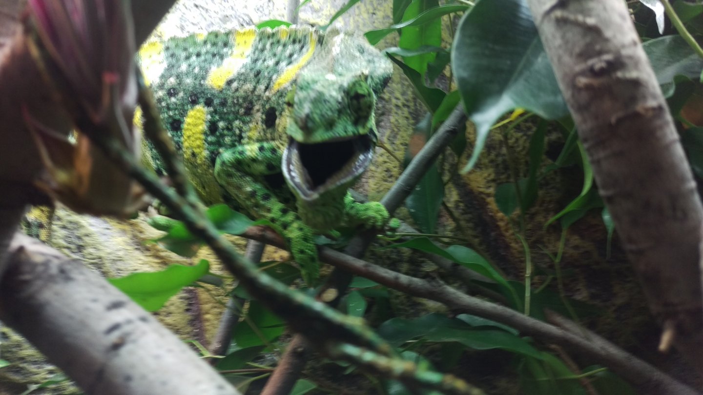 IMAG0779.jpg