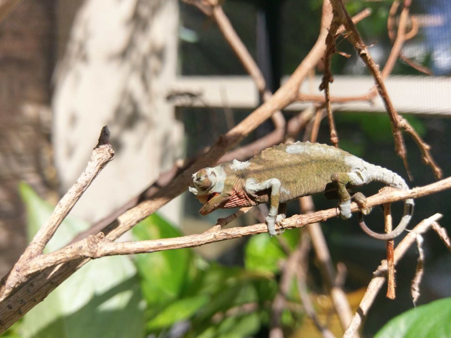 IMAG0818.jpg