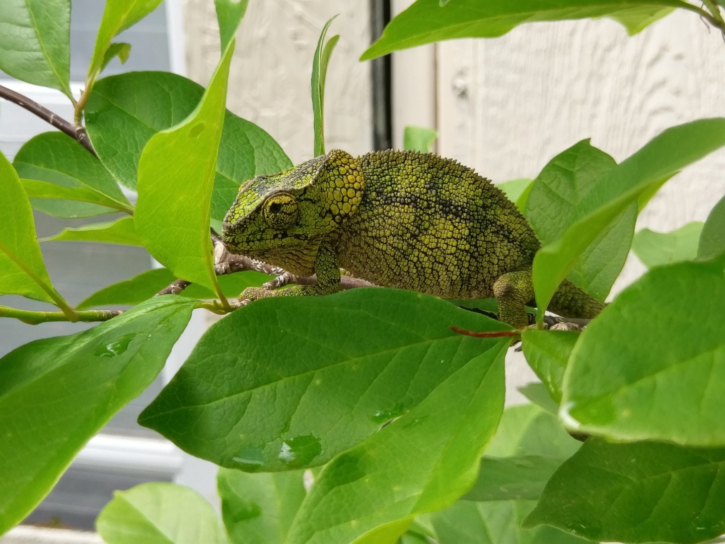 IMAG0875.jpg