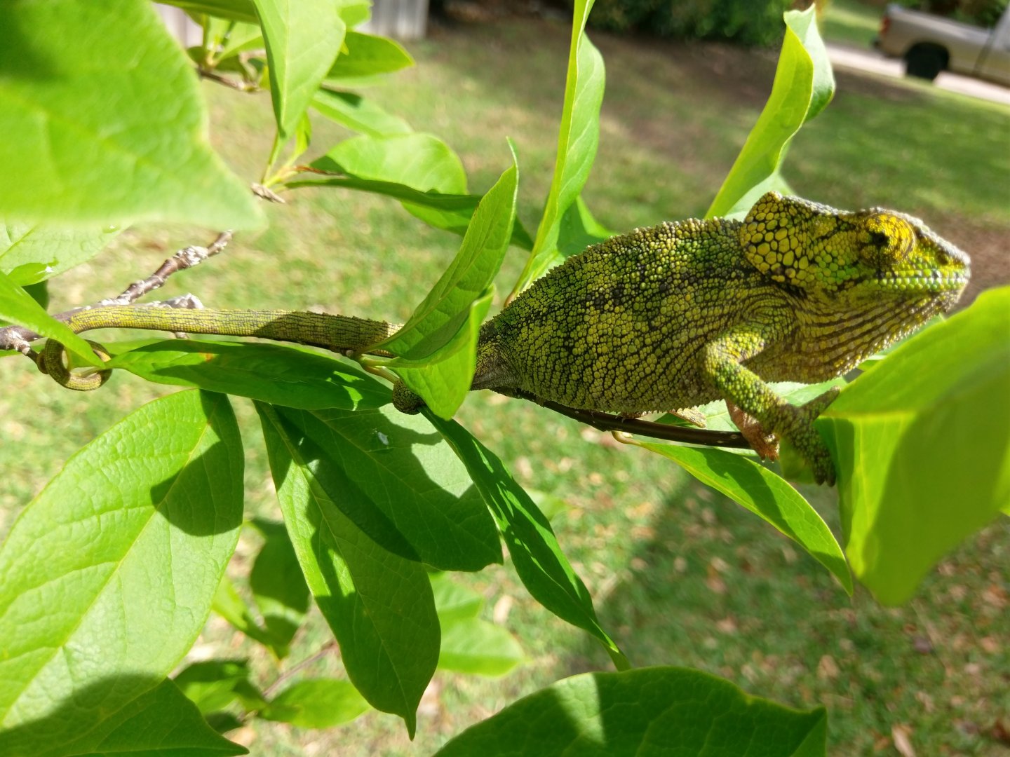 IMAG0883.jpg